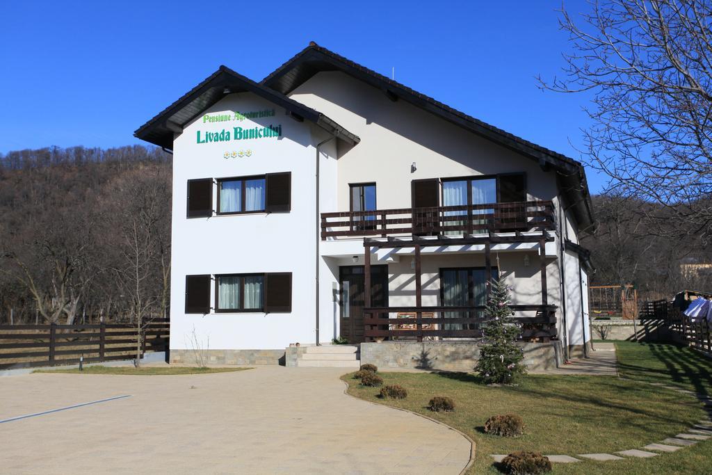 Pensiunea Livada Bunicului Stanesti  ภายนอก รูปภาพ